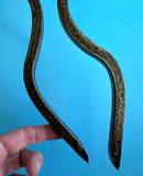 Vintage Wrought Iron Spiral Wall Candle Sconces