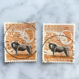 Kenya Uganda Tanganyika KUT Lion Cufflinks Postage Stamps Cuff Links