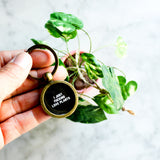 I Just Fucking Love Plants OK Keychain