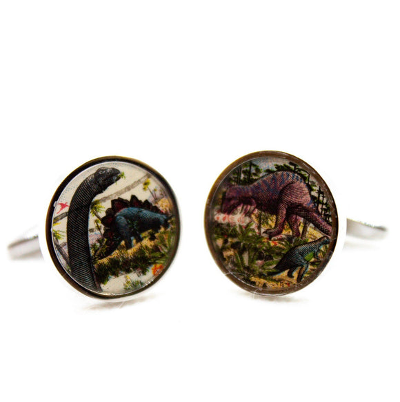 United States The Age of Reptiles Dinosaur Cufflinks